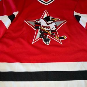 1993-94 Russian Penguins AHL Jersey